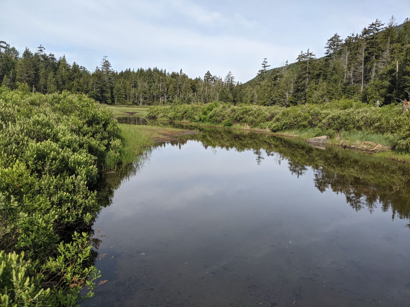Calamity Pond.jpg
